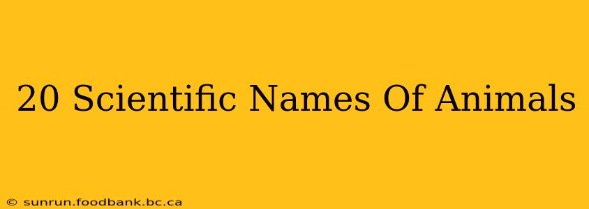 20 Scientific Names Of Animals