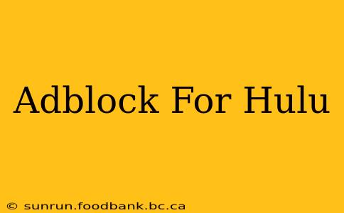 Adblock For Hulu