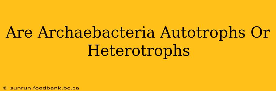 Are Archaebacteria Autotrophs Or Heterotrophs