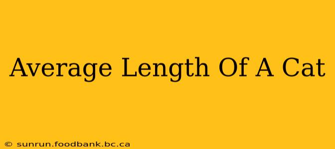 Average Length Of A Cat