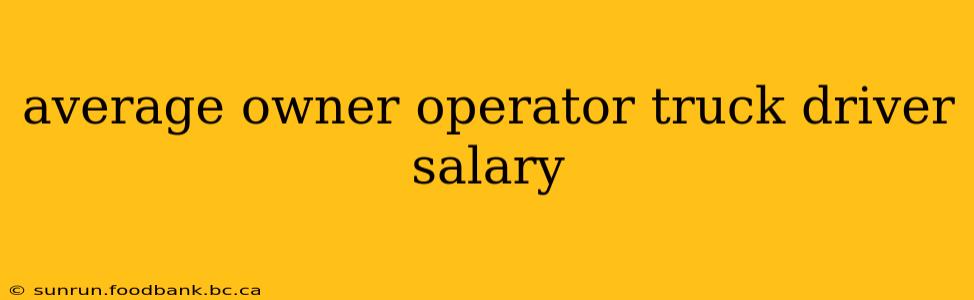 average owner operator truck driver salary
