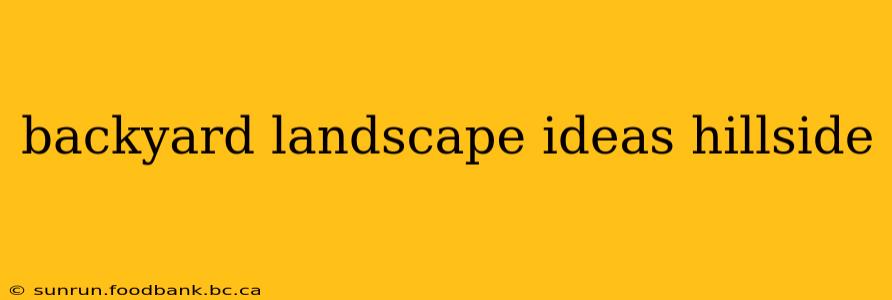 backyard landscape ideas hillside