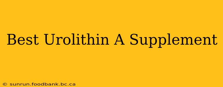 Best Urolithin A Supplement