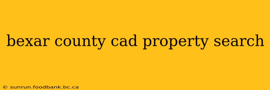 bexar county cad property search