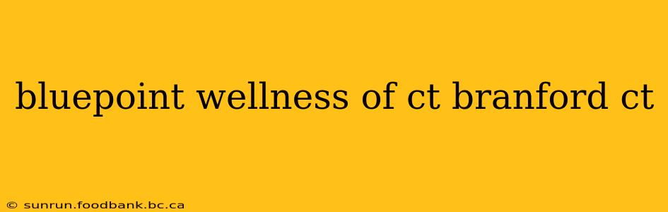 bluepoint wellness of ct branford ct