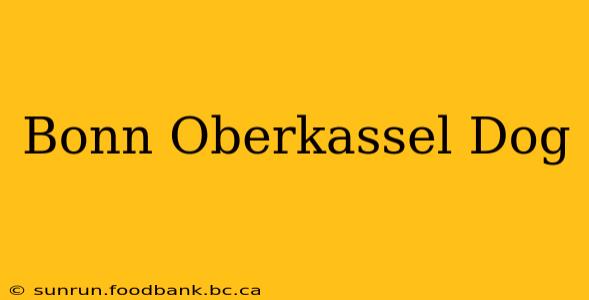 Bonn Oberkassel Dog