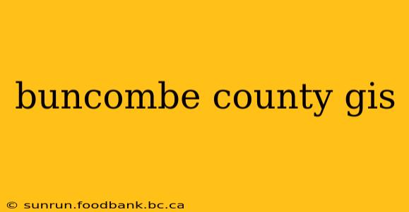 buncombe county gis
