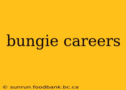 bungie careers