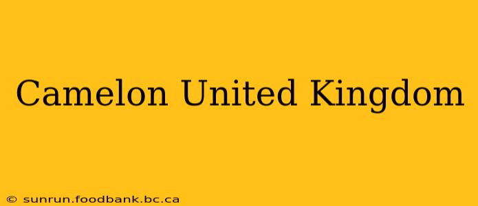 Camelon United Kingdom