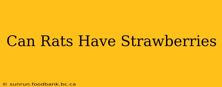 Can Rats Have Strawberries