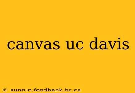 canvas uc davis