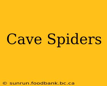 Cave Spiders