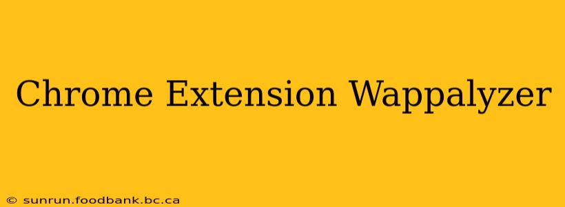 Chrome Extension Wappalyzer