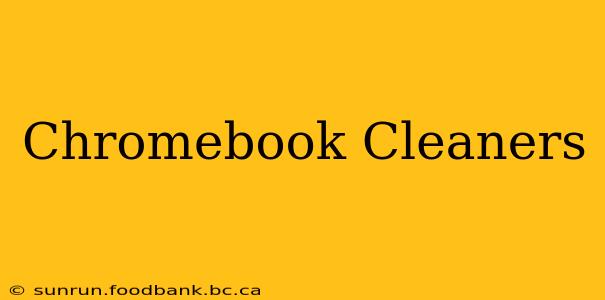 Chromebook Cleaners