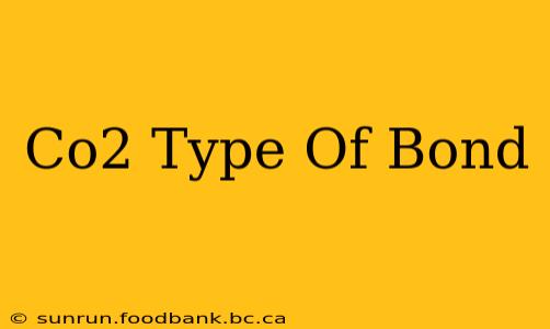 Co2 Type Of Bond