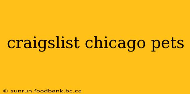 craigslist chicago pets