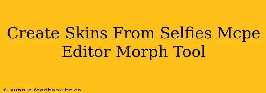 Create Skins From Selfies Mcpe Editor Morph Tool