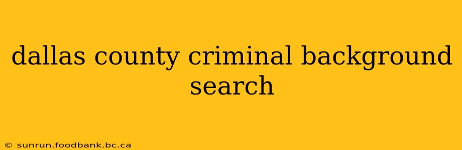 dallas county criminal background search