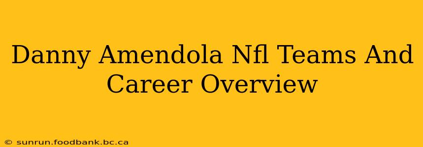 Danny Amendola Nfl Teams And Career Overview
