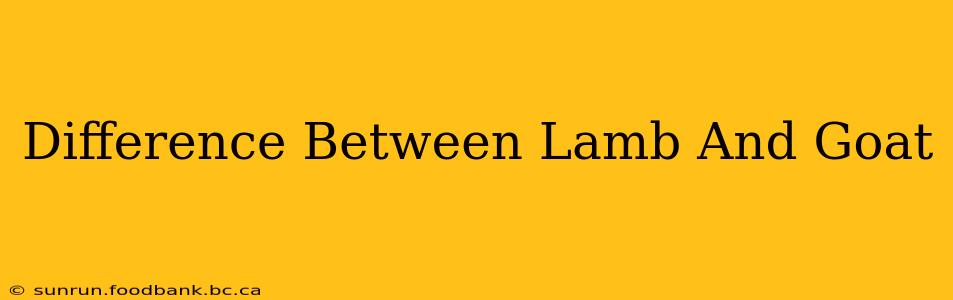 Difference Between Lamb And Goat