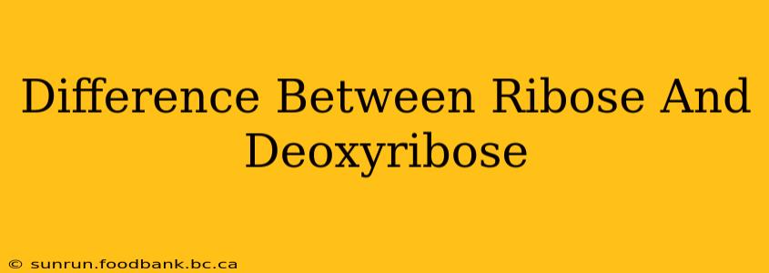 Difference Between Ribose And Deoxyribose