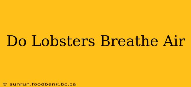 Do Lobsters Breathe Air