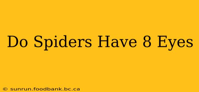 Do Spiders Have 8 Eyes