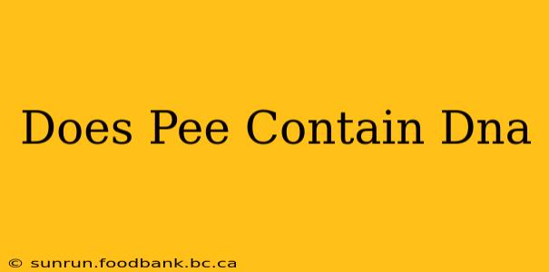 Does Pee Contain Dna
