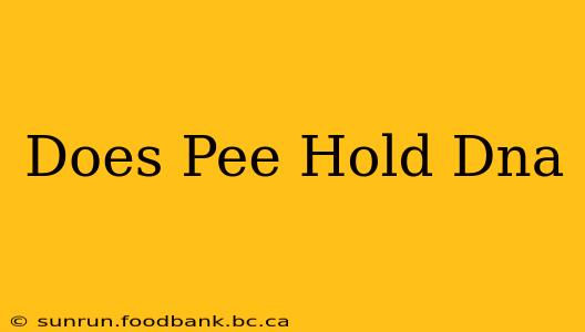 Does Pee Hold Dna