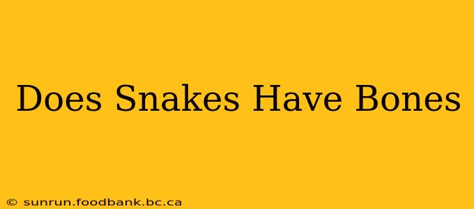 Does Snakes Have Bones