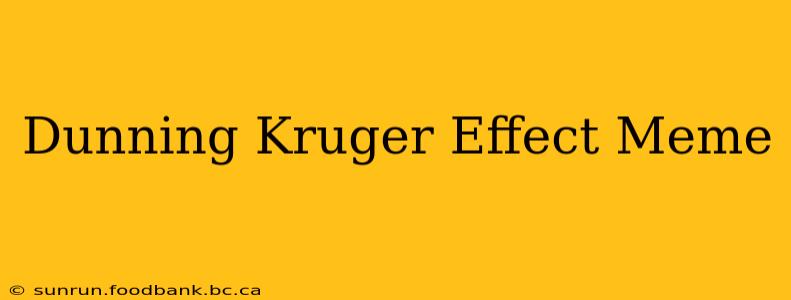 Dunning Kruger Effect Meme