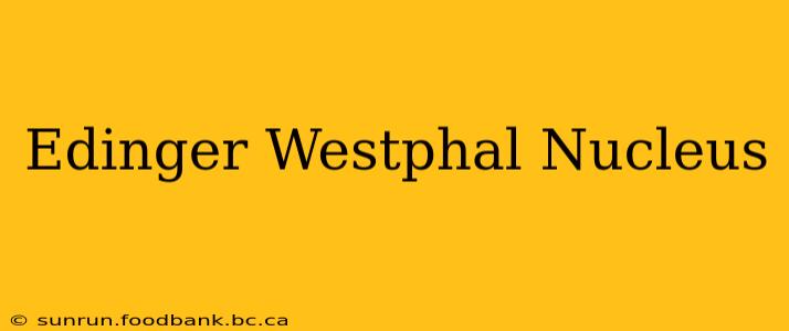 Edinger Westphal Nucleus