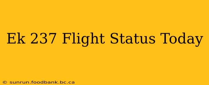 Ek 237 Flight Status Today