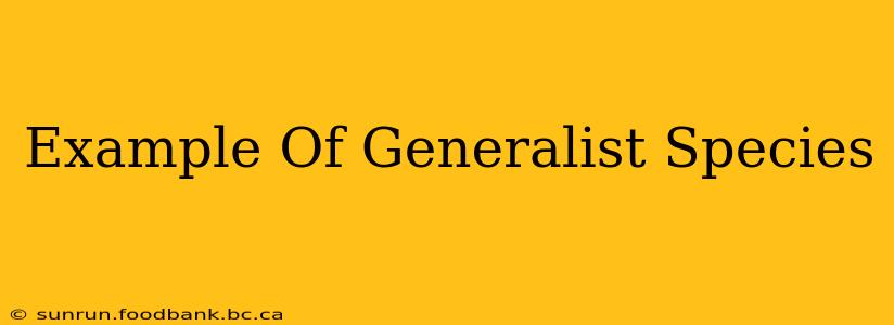 Example Of Generalist Species