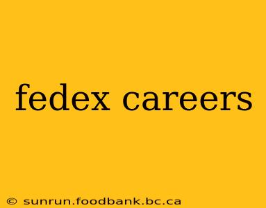fedex careers