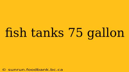 fish tanks 75 gallon