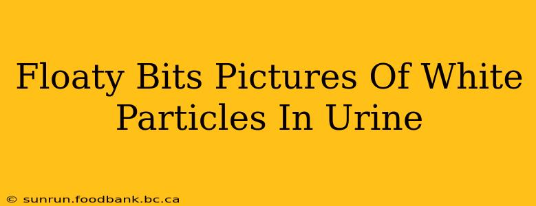 Floaty Bits Pictures Of White Particles In Urine