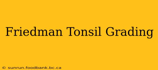 Friedman Tonsil Grading