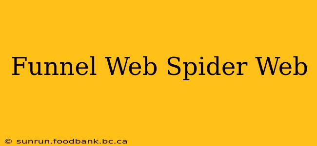 Funnel Web Spider Web