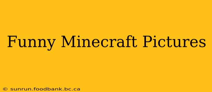 Funny Minecraft Pictures