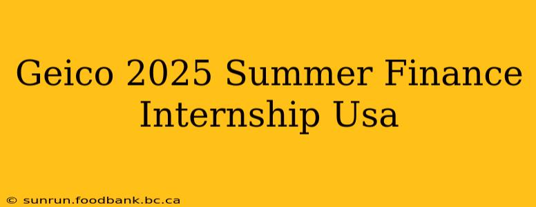 Geico 2025 Summer Finance Internship Usa