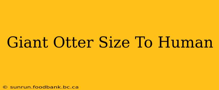 Giant Otter Size To Human