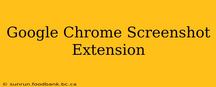 Google Chrome Screenshot Extension