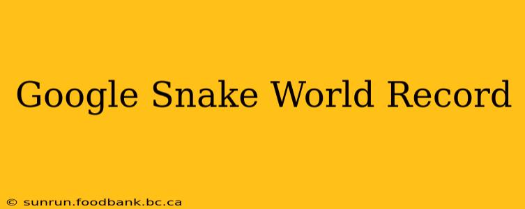 Google Snake World Record