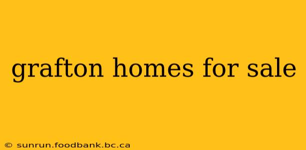 grafton homes for sale