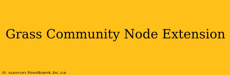 Grass Community Node Extension