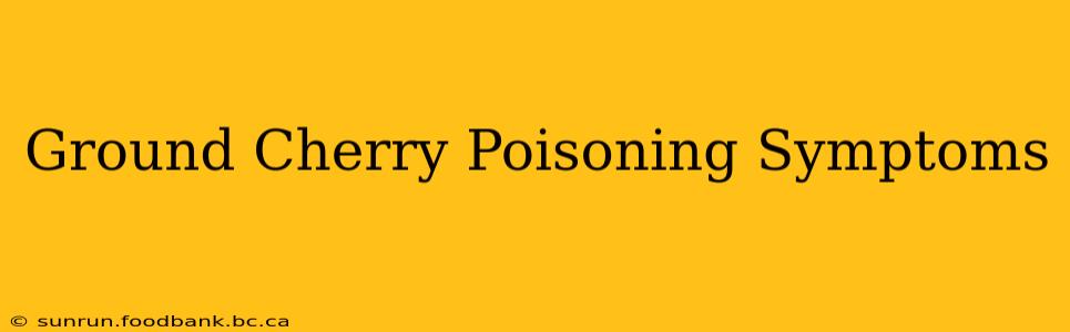 Ground Cherry Poisoning Symptoms