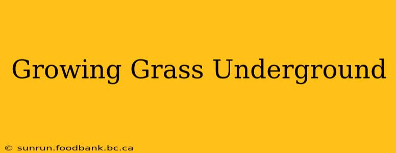 Growing Grass Underground