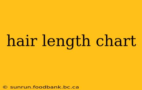 hair length chart