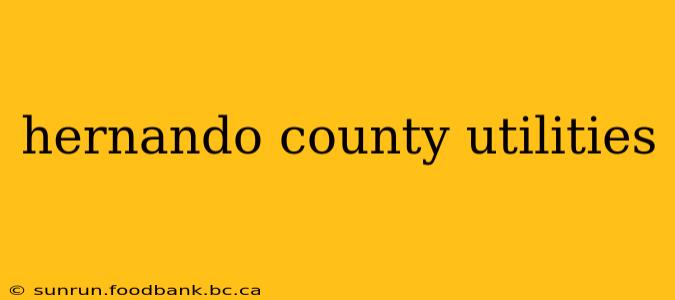 hernando county utilities